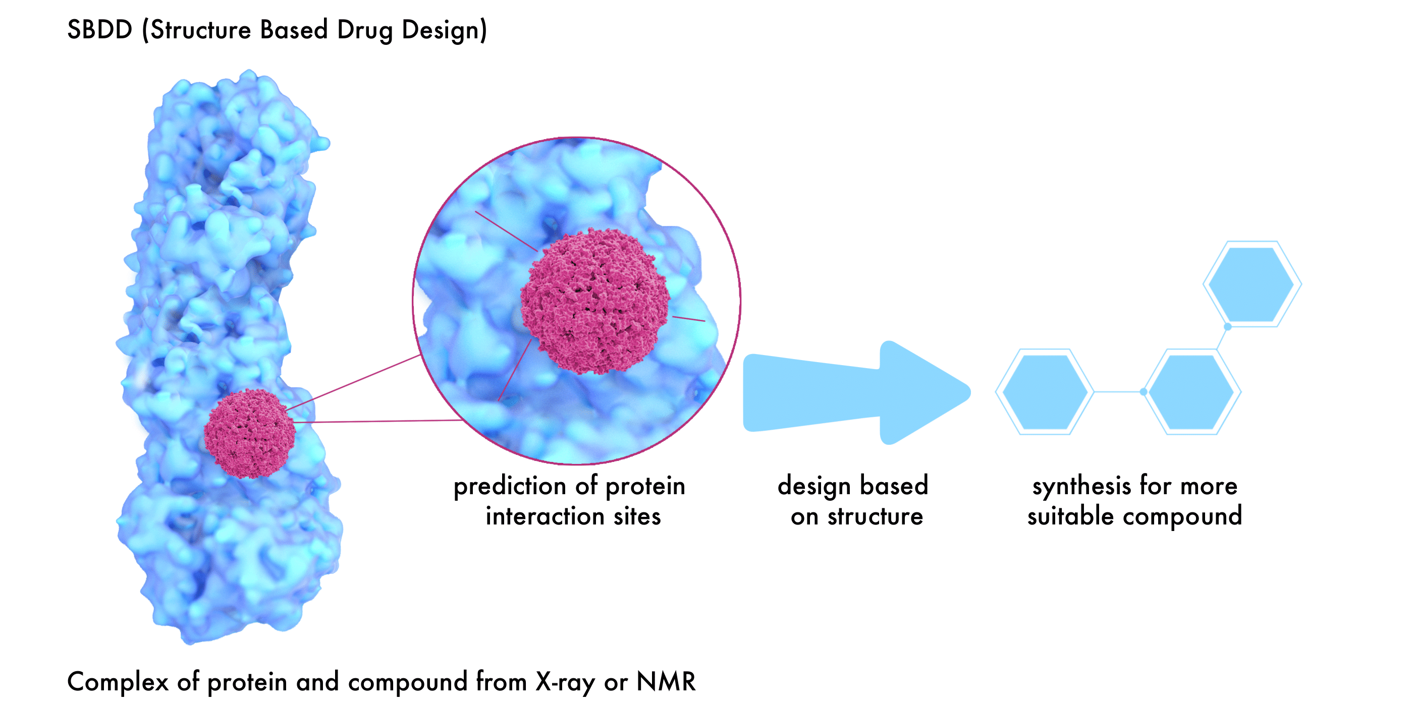 Structure Based Drug Design